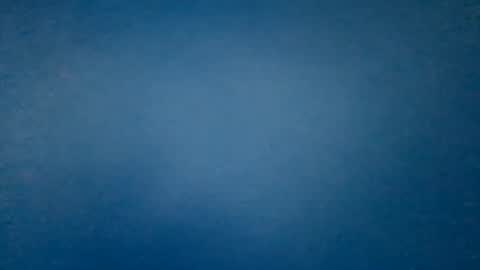 hummelbummel00 online show from 02/14/26, 06:26