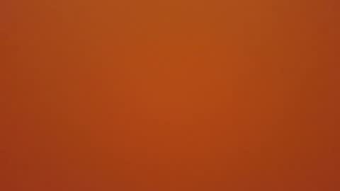 hundeleine online show from 12/19/25, 11:28