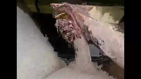 hung_mac0 online show from 04/07/26, 05:02