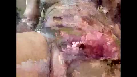 JohnD online show from 04/01/26, 06:25