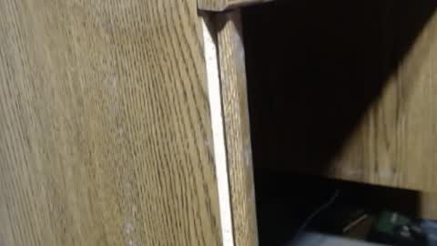 Snapshot of hungsofine chatting on 12/18/24, 04:06 hungsofine online show from 12/18/24, 04:06