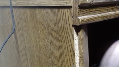 Snapshot of hungsofine chatting on 12/26/24, 07:27 hungsofine online show from 12/26/24, 07:27