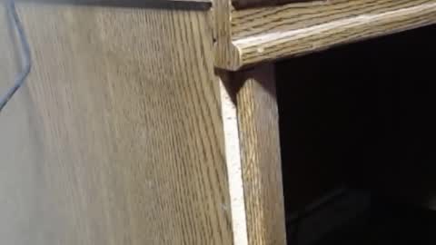 hungsofine online show from 02/19/25, 06:54