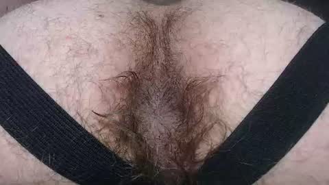 Snapshot of hunkytime chatting on 07/13/26, 06:05 I AM NOT A DIRECTOR I AM THE BOSS KINGDADDYSIRSTR8ALPHAMASTER online show from 07/13/26, 06:05