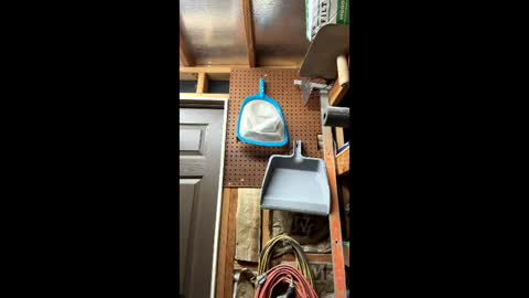 huskey300 online show from 03/06/26, 02:19