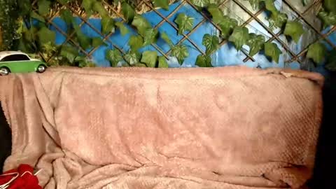 Kayla online show from 12/21/24, 04:30