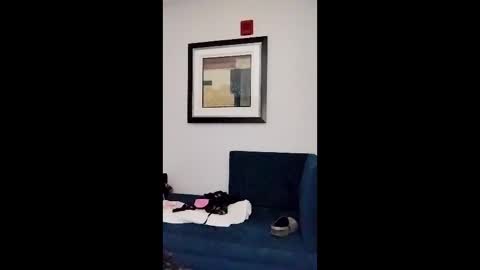 hydrakinglaser online show from 02/05/26, 02:05