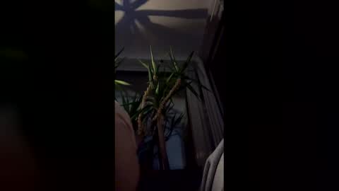 hypervenom369888 online show from 03/07/26, 02:08