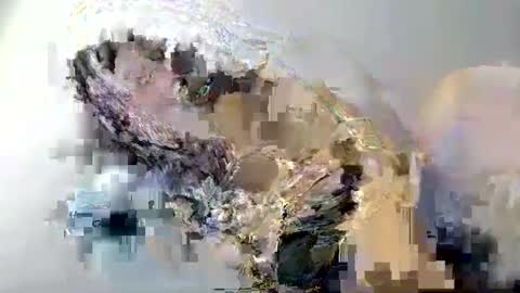 Snapshot of i_love_eula chatting on 02/12/25, 01:59 cant get you out of my head online show from 02/12/25, 01:59