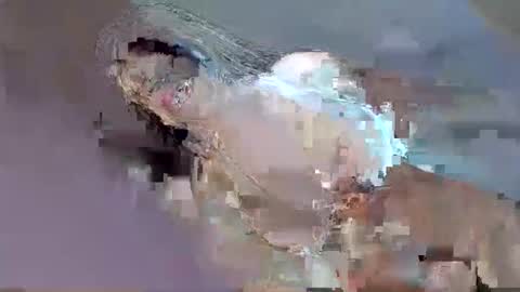 Snapshot of i_love_eula chatting on 09/12/25, 12:33 cant get you out of my head online show from 09/12/25, 12:33