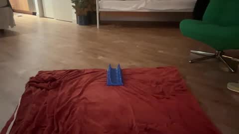 Olive online show from 10/19/25, 05:41