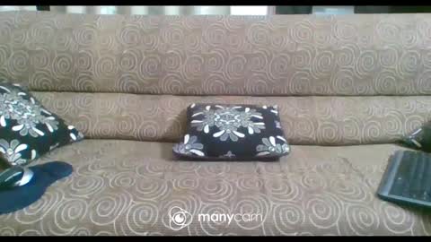 Snapshot of iam_jp084 chatting on 02/21/25, 06:26 JP online show from 02/21/25, 06:26