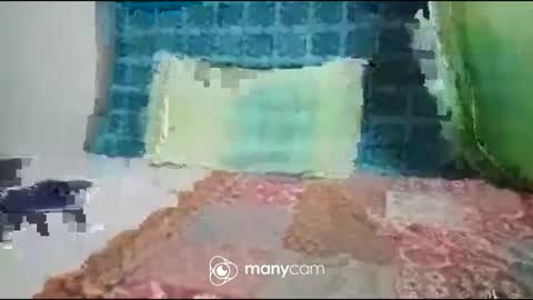 Snapshot of iam_jp084 chatting on 09/27/25, 07:19 JP online show from 09/27/25, 07:19