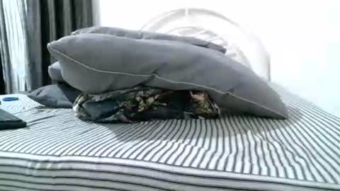 iam_mistress_dominatrix online show from 04/18/26, 03:54