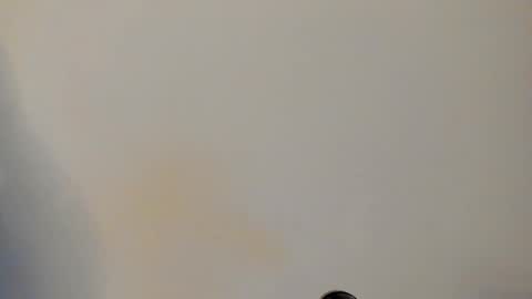 IAN CASTILLO online show from 02/24/26, 11:08