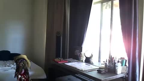 Snapshot of ibpms247 chatting on 10/13/25, 03:45 PMS online show from 10/13/25, 03:45