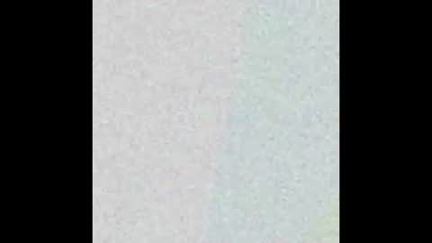 Snapshot of icdaryl2 chatting on 02/08/25, 04:03 ICDeez online show from 02/08/25, 04:03