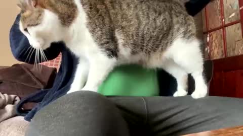 icums4u online show from 03/24/26, 02:33