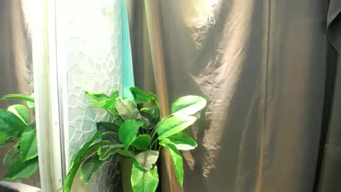 Heart online show from 02/03/26, 06:35