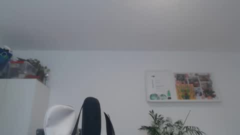 ner d online show from 02/21/25, 08:51