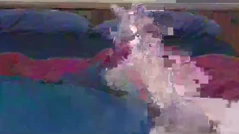 Snapshot of ihavebigballs00 chatting on 12/17/24, 03:06 ihavebigballs00 online show from 12/17/24, 03:06