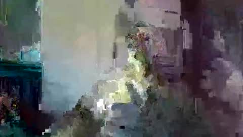 Snapshot of ikwiljeneuken123 chatting on 02/17/26, 04:09 ikwiljeneuken123 online show from 02/17/26, 04:09