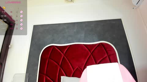 illegal_lorry online show from 01/16/25, 10:53