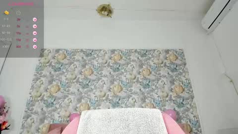 illegal_lorry online show from 02/27/25, 06:07