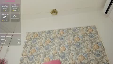 illegal_lorry online show from 01/10/26, 06:04