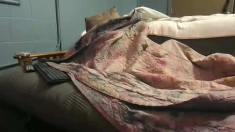 Ryan online show from 10/10/25, 03:33