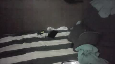 iloveitall86 online show from 11/04/25, 06:01