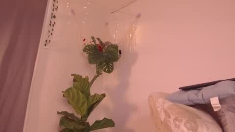 Kaia online show from 01/09/26, 07:59