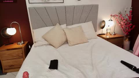 Snapshot of im_eli1 chatting on 02/16/26, 08:38 Eli online show from 02/16/26, 08:38