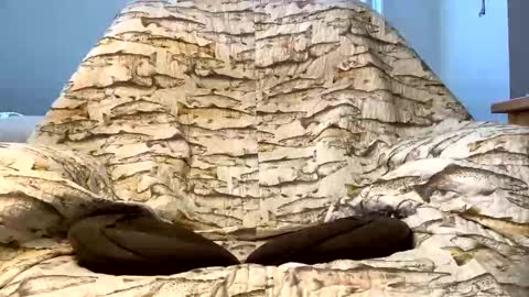 thanks for visiting online show from 12/16/25, 04:23