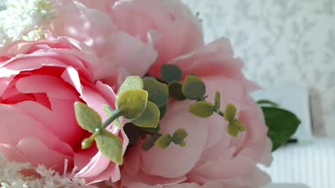 Carrie online show from 02/19/25, 06:00