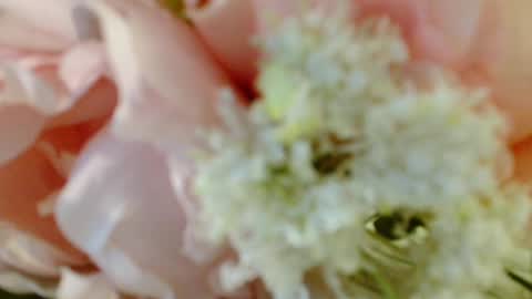 Carrie online show from 03/03/25, 04:35