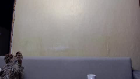 irina online show from 01/06/26, 03:27