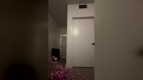 imlightskn online show from 04/09/26, 06:13