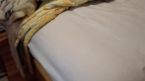 immature_amateur online show from 03/01/26, 09:39