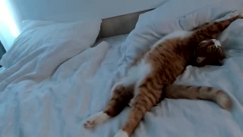 Snapshot of imogensy chatting on 02/20/25, 09:00 my name Imo Fansly online show from 02/20/25, 09:00