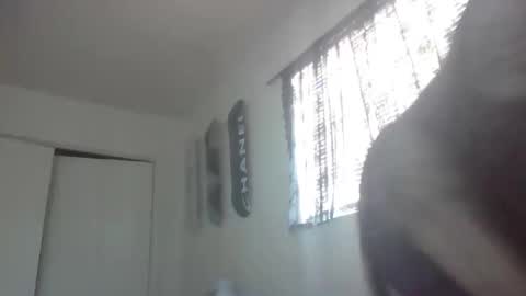 imyourbabydoll online show from 02/26/26, 09:47