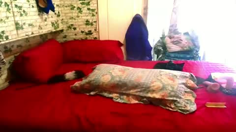 indian_blaze00 online show from 02/04/25, 01:27