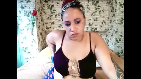 Candy cat online show from 02/22/25, 10:51