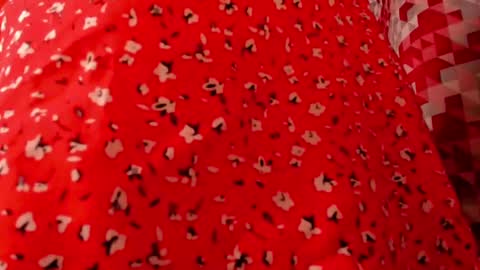 Snapshot of indian_summer_ chatting on 02/13/25, 09:06 Melissa No Baby or bb sexy etc... online show from 02/13/25, 09:06