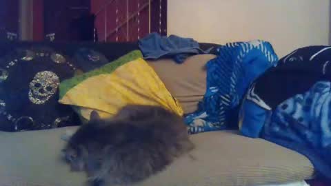 indigo_scorpio online show from 01/30/25, 09:15