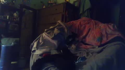 indigo_scorpio online show from 02/24/25, 12:52