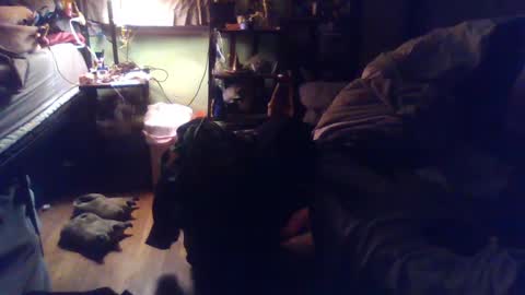 indigo_scorpio online show from 03/04/25, 02:06