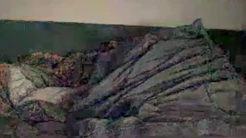 CallmeDADDY online show from 05/17/26, 03:04