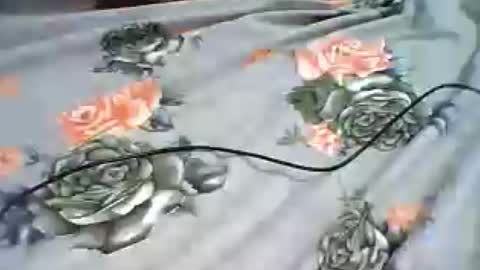 inejhtin online show from 06/24/26, 04:00