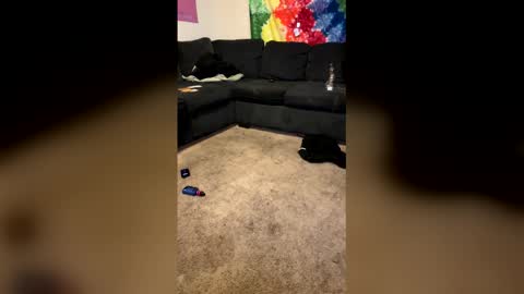 InfamousLibby  Linktree  online show from 02/08/26, 10:18